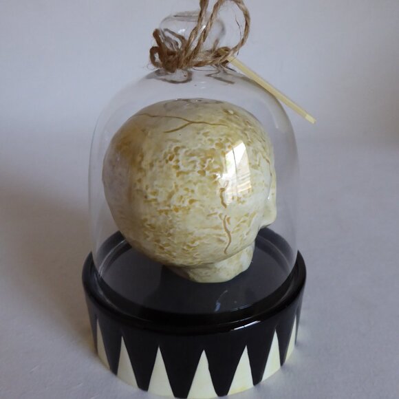 NEW 2005 DEPARTMENT 56 DR. FRANKENSTEIN’S LAB HALLOWEEN DONOR SKULL SALT PEPPER - Picture 7 of 16